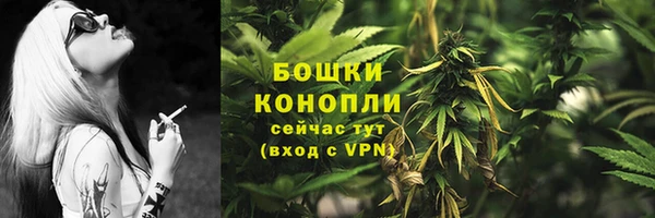 гидра Бородино