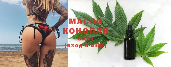 гидра Бородино