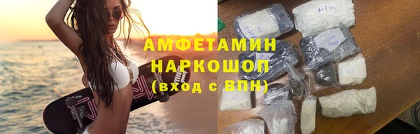 гидра Бородино