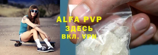 гидра Бородино