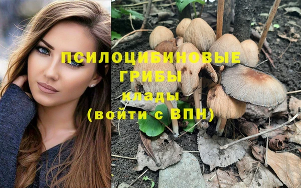 гидра Бородино