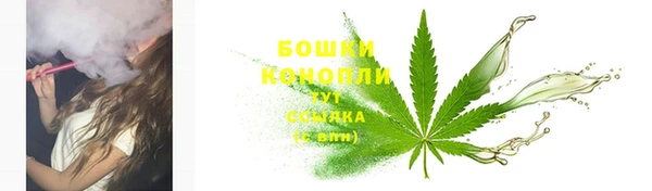 гидра Бородино