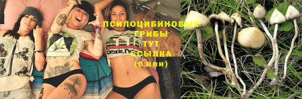 мдпв Бугульма