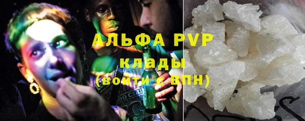 гидра Бородино