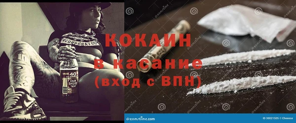 дурь Бронницы