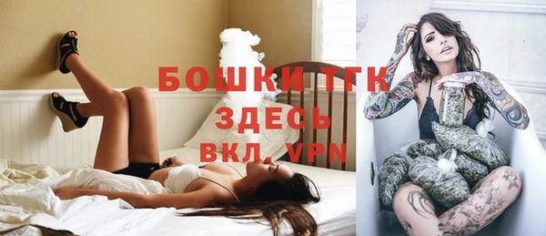 гидра Бородино
